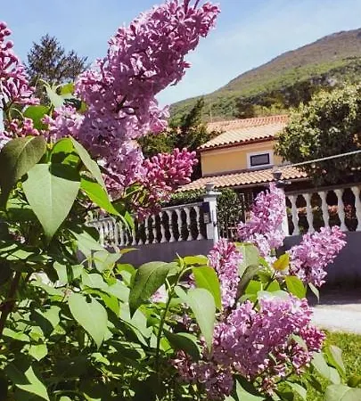 Casa de Férias Holiday Jolanda - Garden