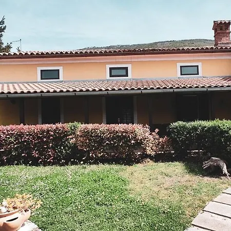Holiday Jolanda - Garden
